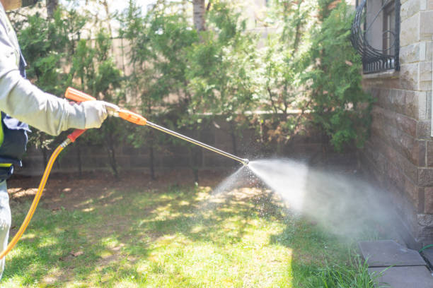 Reliable Pleasureville, PA Pest Control Solutions