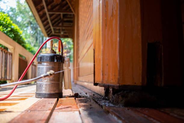 Best Local Pest Control Services  in Pleasureville, PA