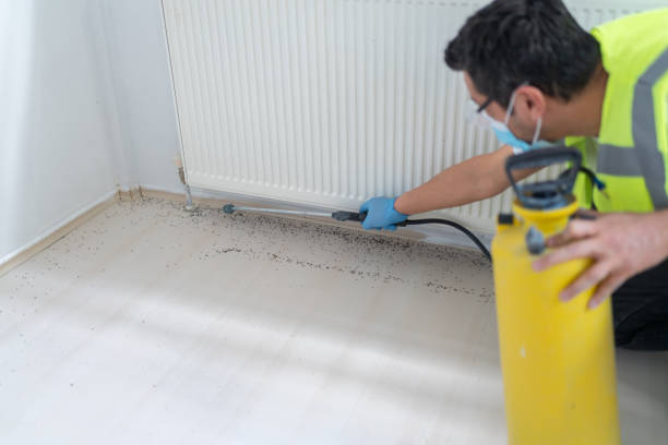 Best Flea Control Services  in Pleasureville, PA